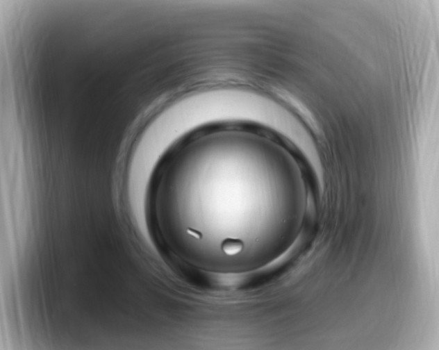 X0000099960399200805231345