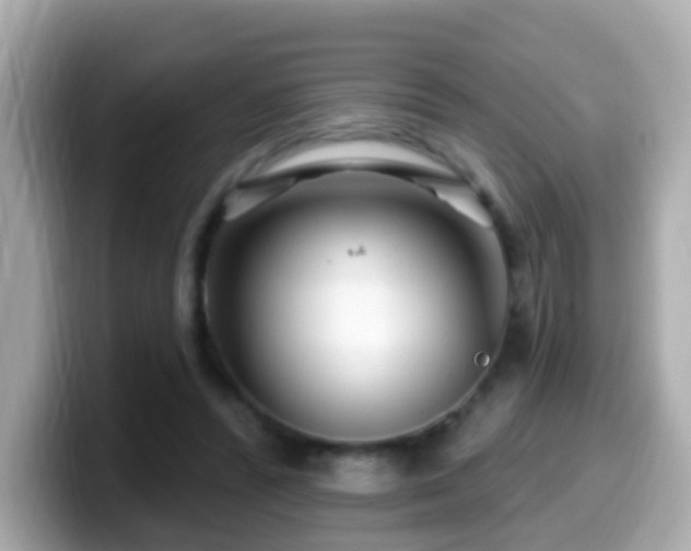 X0000099960400200805231345
