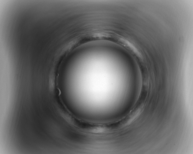 X0000099960402200805231345