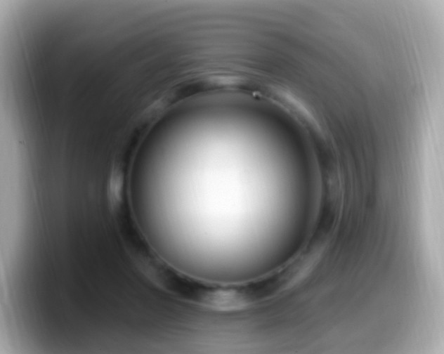 X0000099960406200805231345