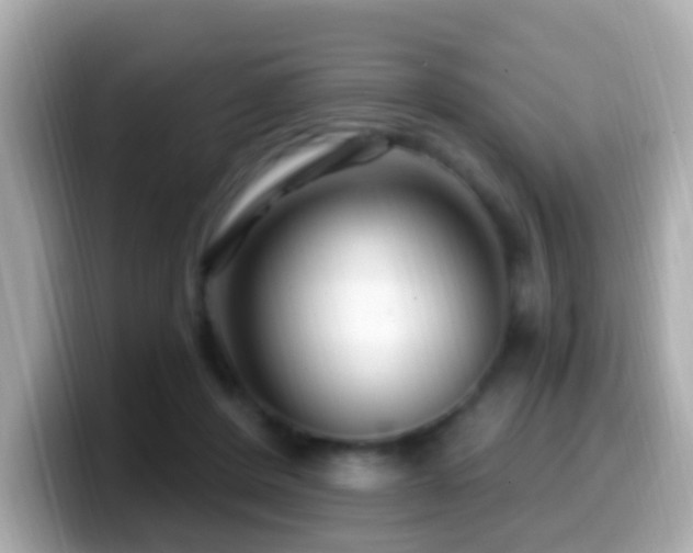 X0000099960408200805231345