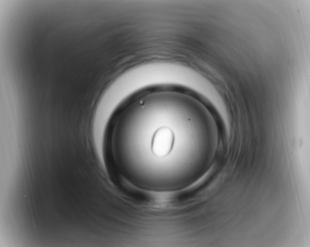X0000099960409200805231345