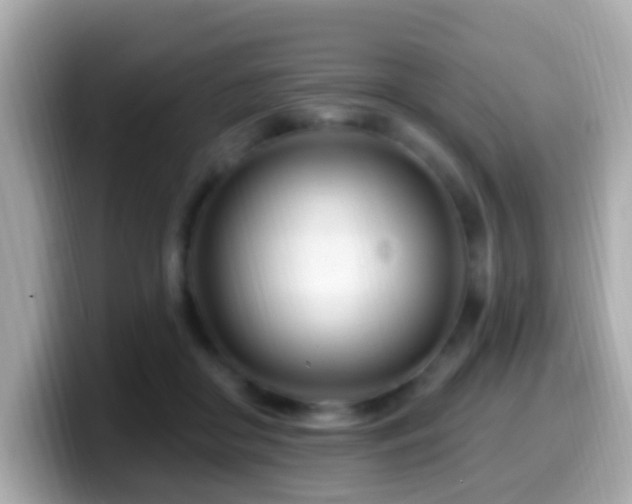 X0000099960410200805231345