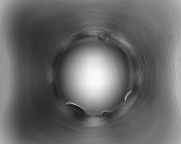 X0000099960413200805231345