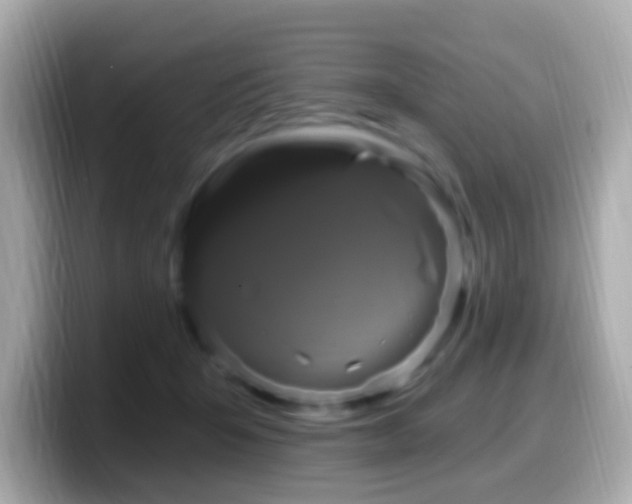 X0000099960415200805231345