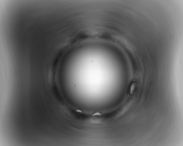 X0000099960416200805231345