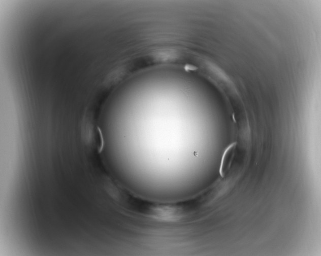X0000099960417200805231345