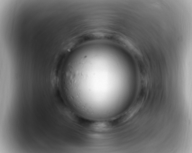 X0000099960418200805231345