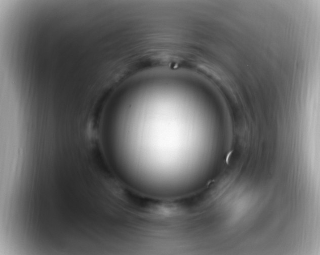 X0000099960420200805231344
