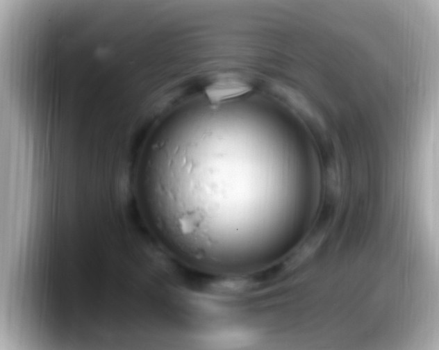 X0000099960422200805231344