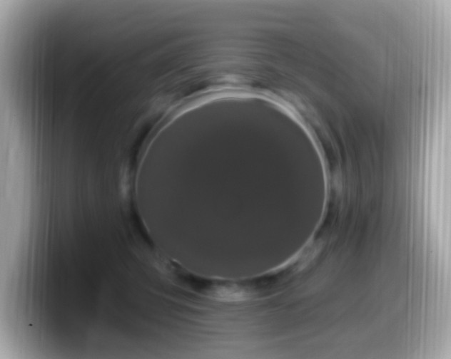 X0000099960423200805231344