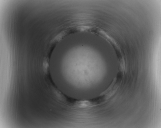 X0000099960427200805231344