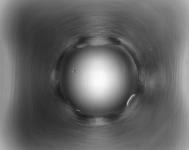 X0000099960428200805231344