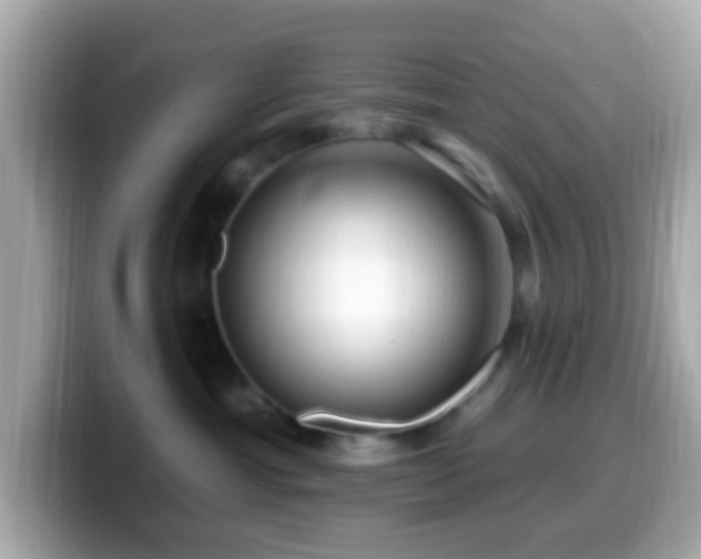 X0000099960429200805231344