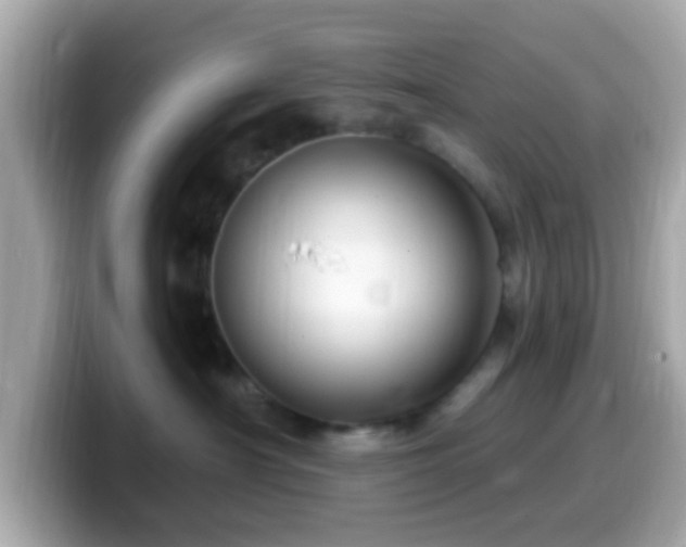 X0000099960430200805231344