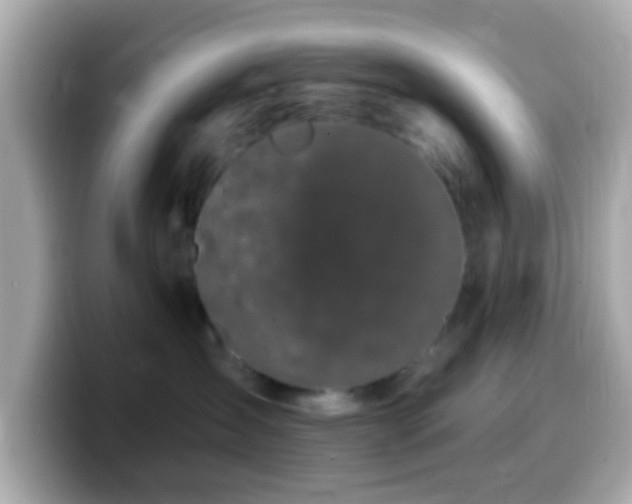 X0000099960431200805231344