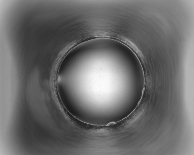 X0000099960433200805231344