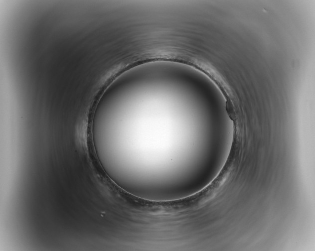 X0000099960434200805231344