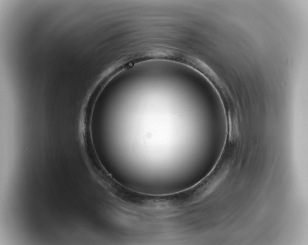 X0000099960435200805231344