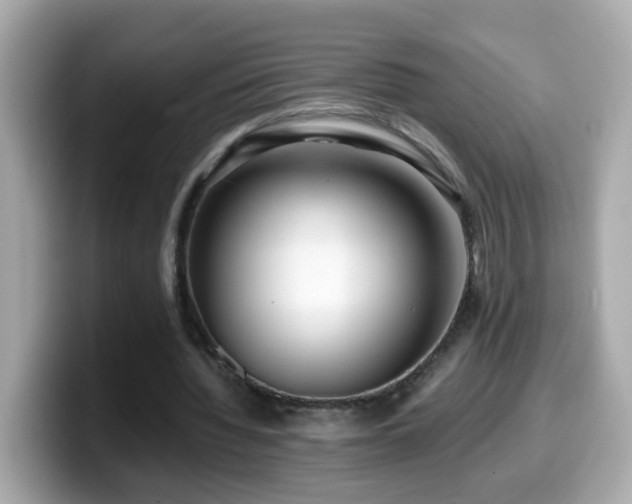 X0000099960436200805231344