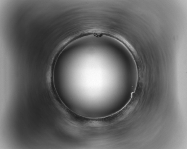 X0000099960437200805231344