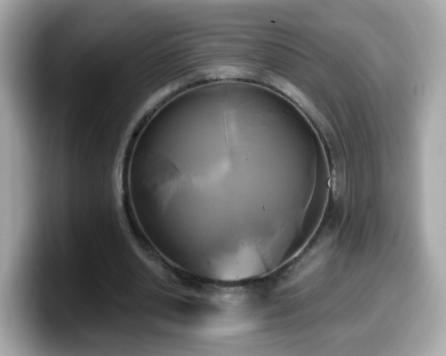 X0000099960438200805231344