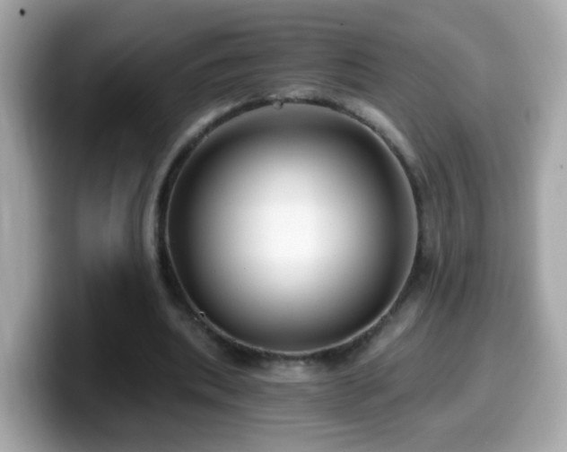 X0000099960439200805231344