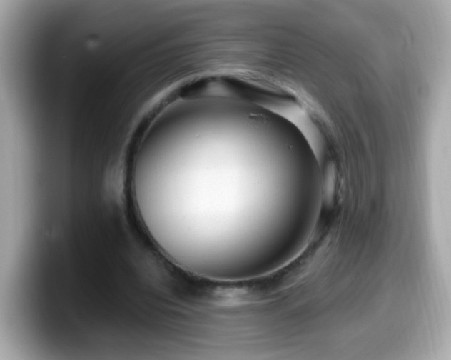 X0000099960440200805231344