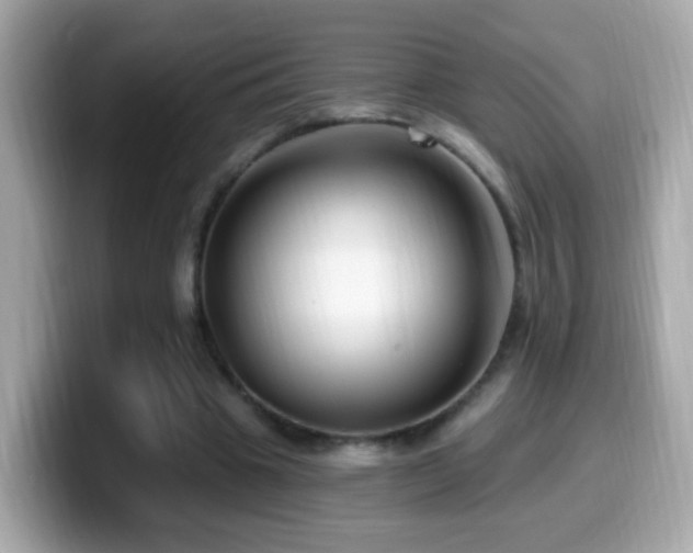 X0000099960441200805231344