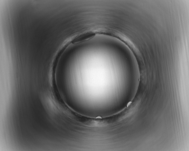 X0000099960442200805231344