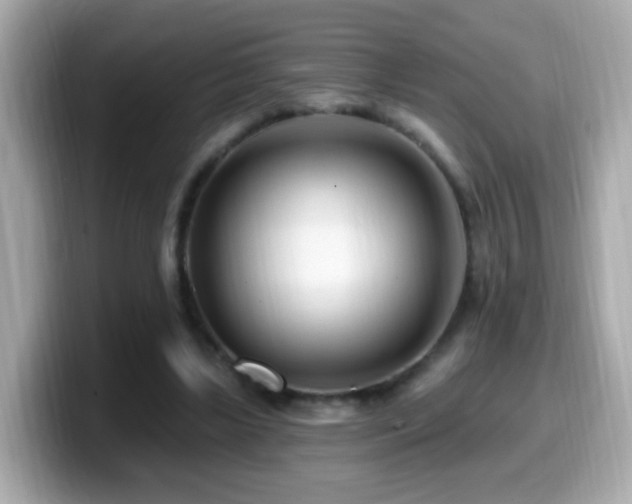 X0000099960443200805231344