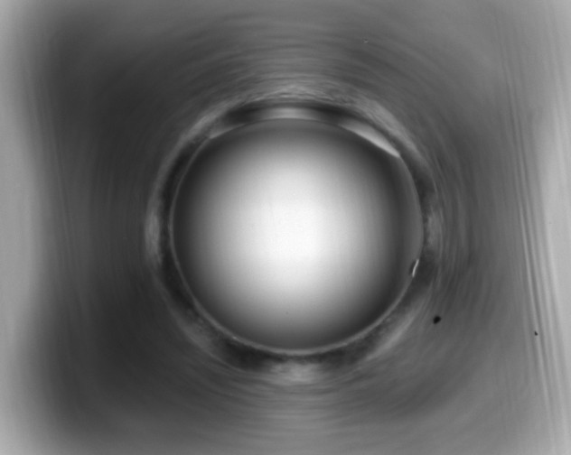 X0000099960444200805231344