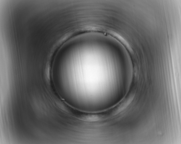 X0000099960445200805231344