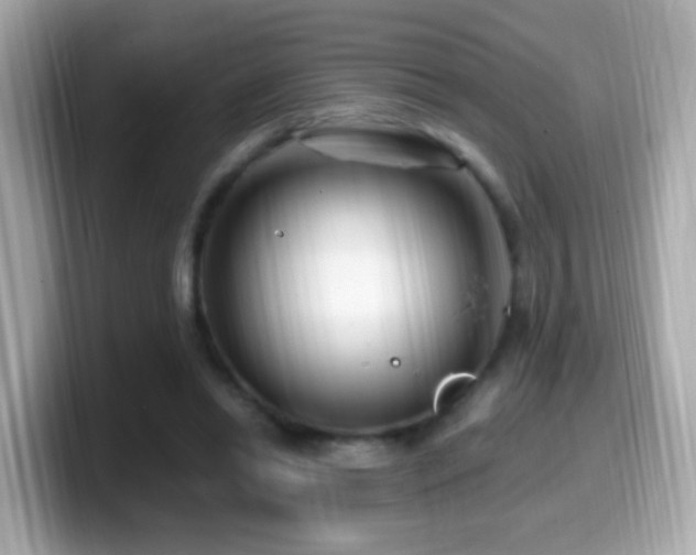 X0000099960446200805231344