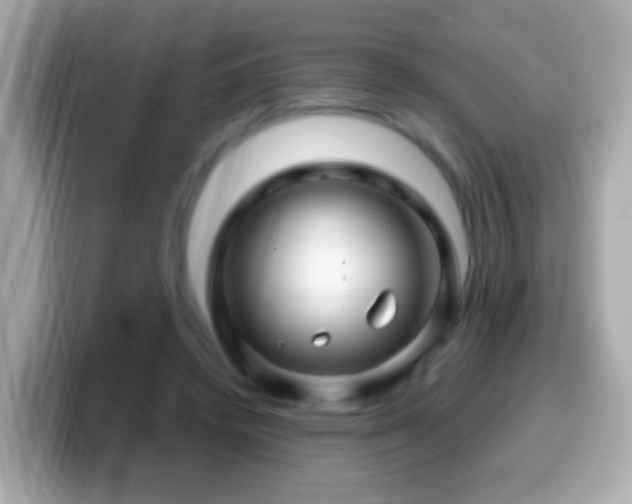 X0000099960448200805231344