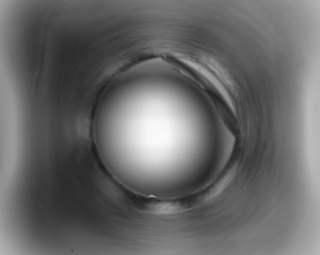 X0000099960449200805231344