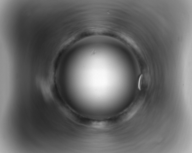 X0000099960450200805231344