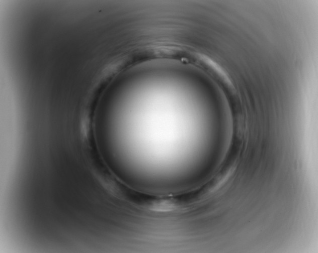X0000099960451200805231344