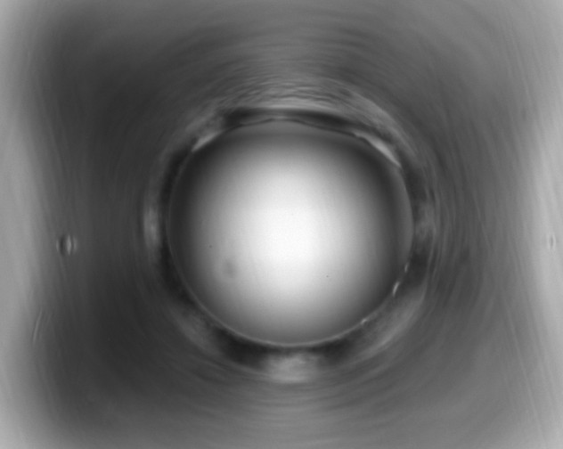 X0000099960452200805231344