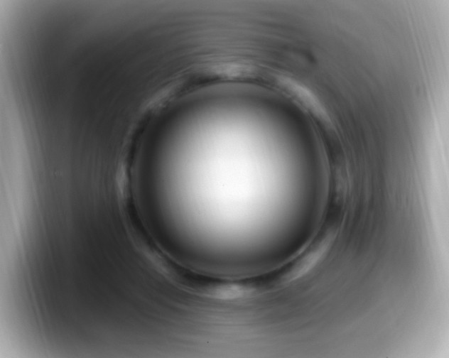 X0000099960453200805231344