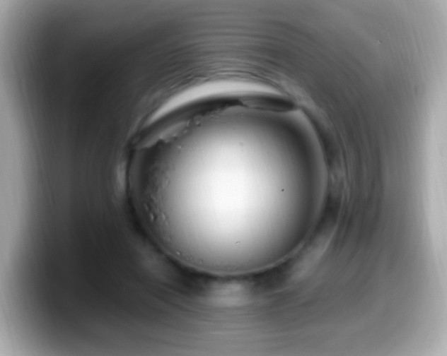 X0000099960454200805231344