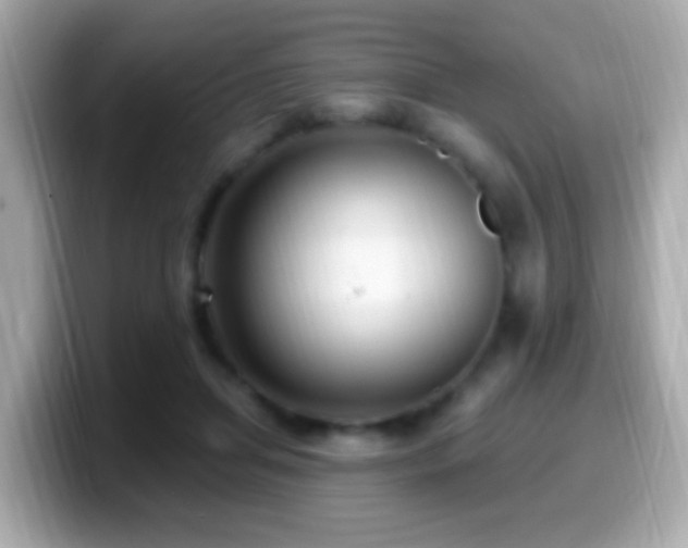 X0000099960455200805231344