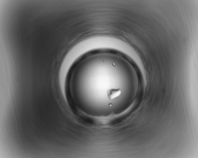 X0000099960456200805231344