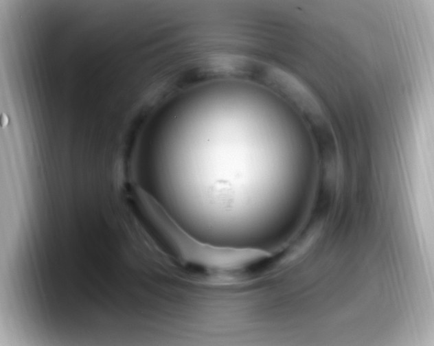 X0000099960457200805231344