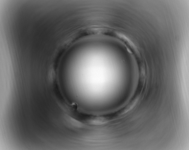 X0000099960459200805231344