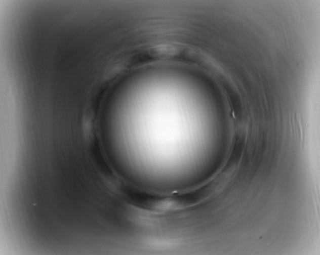 X0000099960460200805231344