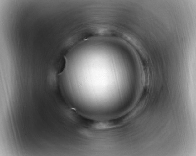 X0000099960461200805231344
