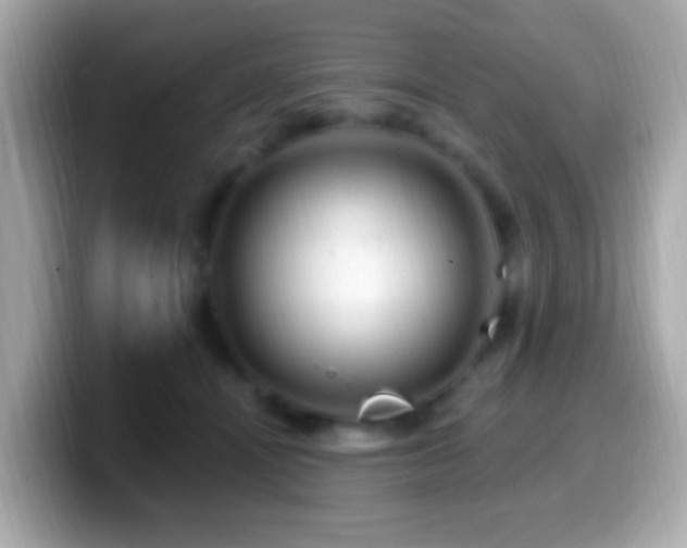 X0000099960464200805231344