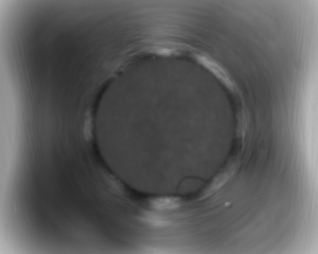 X0000099960465200805231344