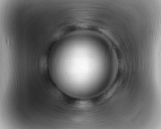 X0000099960466200805231344